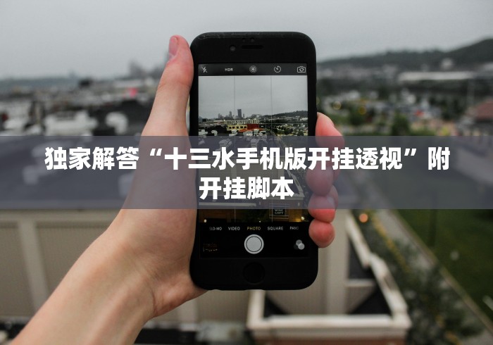 【玩家新攻略】“常德跑胡子可以买挂吗”(原来确实是有插件)