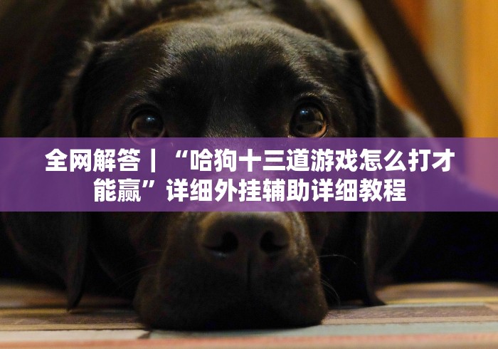 使用分享“炸金花大师棋牌辅助器安全吗”(透视曝光猫腻)