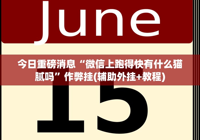 今日重磅消息“微信上跑得快有什么猫腻吗”作弊挂(辅助外挂+教程)