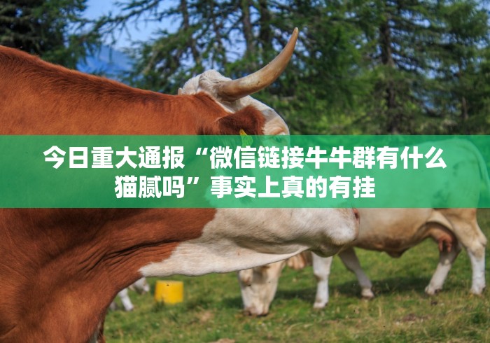 今日重大通报“微信链接牛牛群有什么猫腻吗”事实上真的有挂