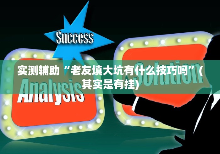 实测辅助“老友填大坑有什么技巧吗”(其实是有挂)