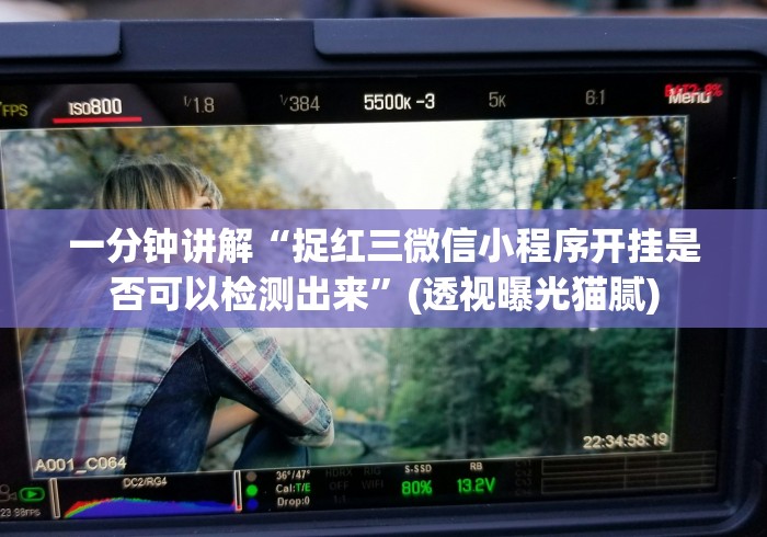 专家分析“皮皮跑胡子安卓版有没有猫腻”(原来确实是有插件)