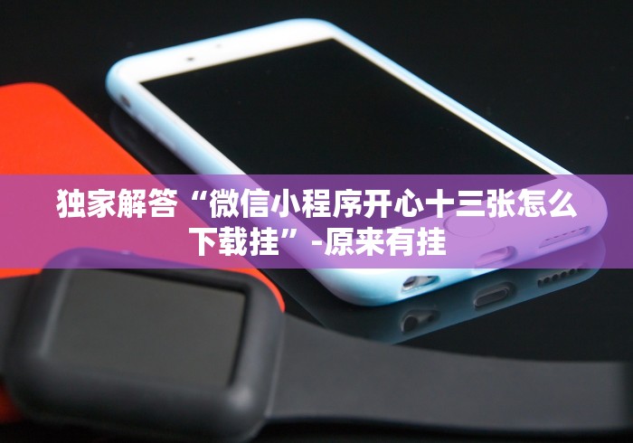 独家解答“微信小程序开心十三张怎么下载挂”-原来有挂