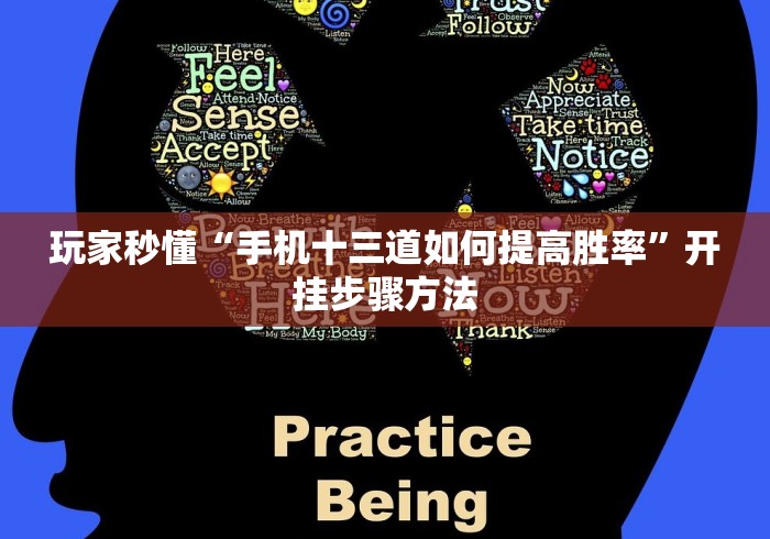 玩家秒懂“手机十三道如何提高胜率”开挂步骤方法