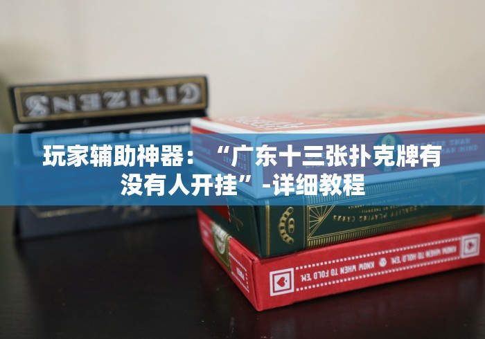 玩家辅助神器：“广东十三张扑克牌有没有人开挂”-详细教程