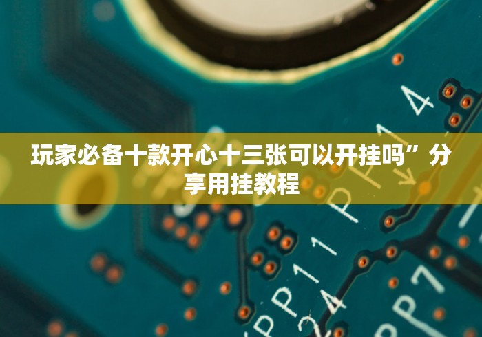 玩家必备十款开心十三张可以开挂吗”分享用挂教程