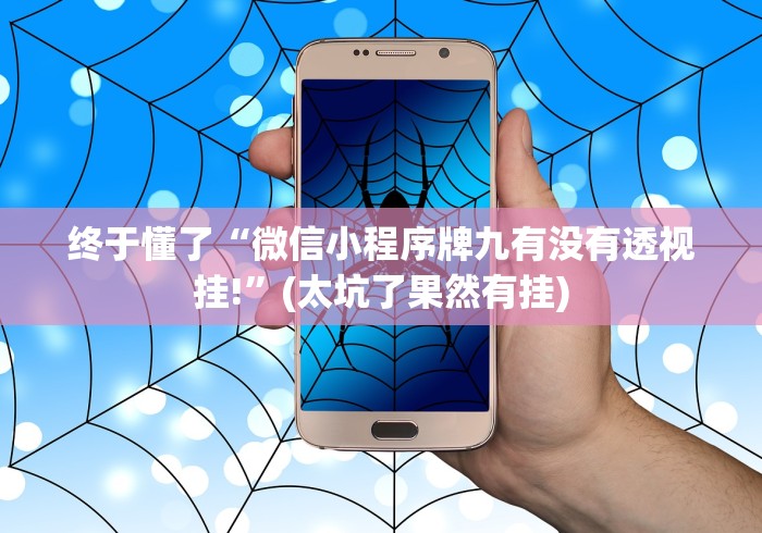 终于懂了“微信小程序牌九有没有透视挂!”(太坑了果然有挂)