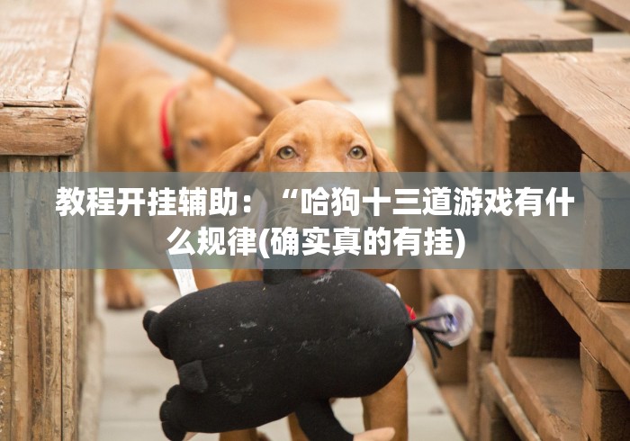 教程开挂辅助：“哈狗十三道游戏有什么规律(确实真的有挂)