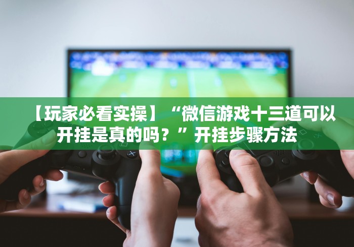 【玩家必看实操】“微信游戏十三道可以开挂是真的吗？”开挂步骤方法
