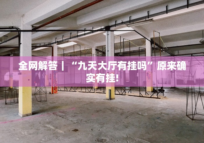 全网解答｜“九天大厅有挂吗”原来确实有挂!