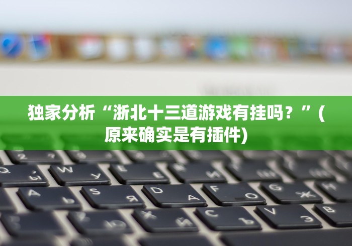 独家分析“浙北十三道游戏有挂吗？”(原来确实是有插件)