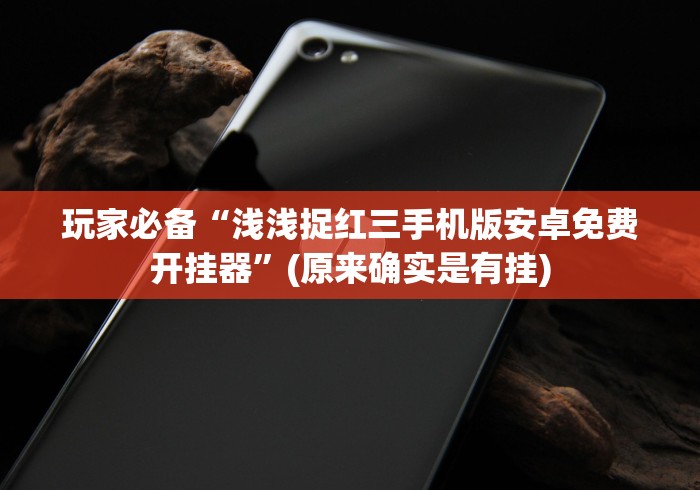 玩家必备“浅浅捉红三手机版安卓免费开挂器”(原来确实是有挂)