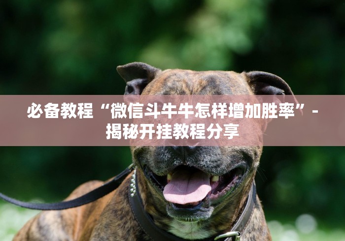 必备教程“微信斗牛牛怎样增加胜率”-揭秘开挂教程分享