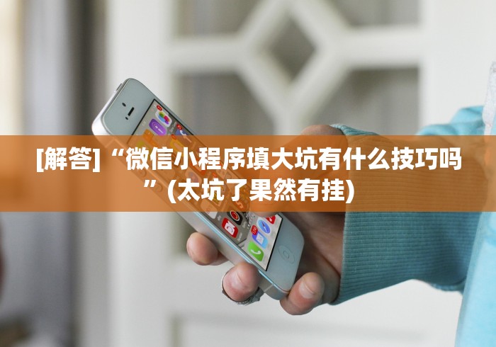 [解答]“微信小程序填大坑有什么技巧吗”(太坑了果然有挂)