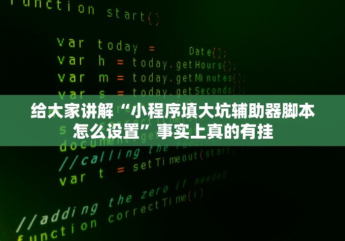 给大家讲解“小程序填大坑辅助器脚本怎么设置”事实上真的有挂
