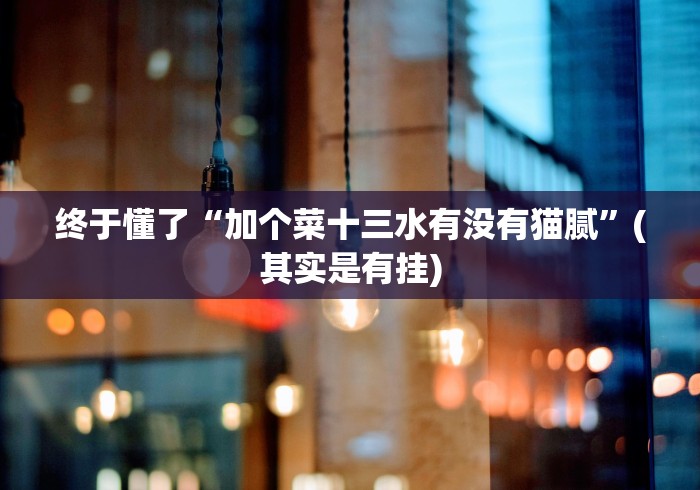 终于懂了“加个菜十三水有没有猫腻”(其实是有挂)