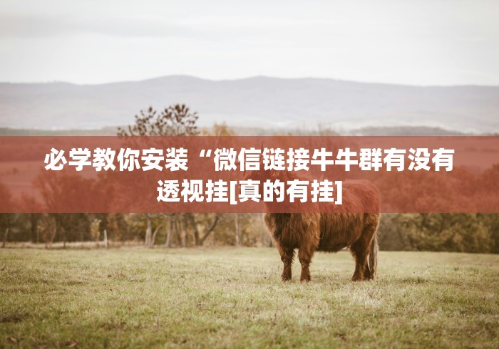 必学教你安装“微信链接牛牛群有没有透视挂[真的有挂]