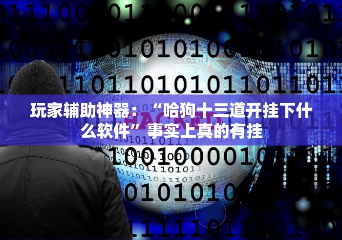 玩家辅助神器：“哈狗十三道开挂下什么软件”事实上真的有挂