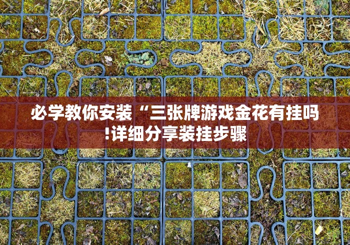 必学教你安装“三张牌游戏金花有挂吗!详细分享装挂步骤