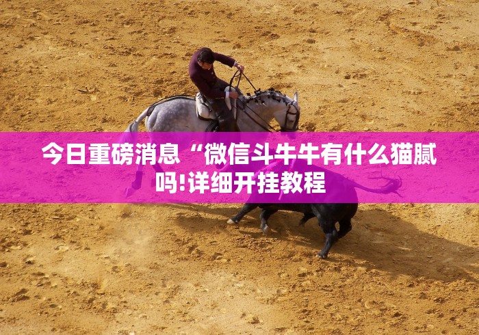 今日重磅消息“微信斗牛牛有什么猫腻吗!详细开挂教程