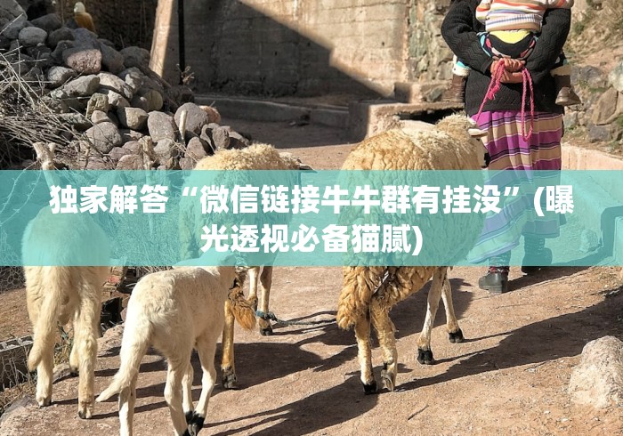 独家解答“微信链接牛牛群有挂没”(曝光透视必备猫腻)