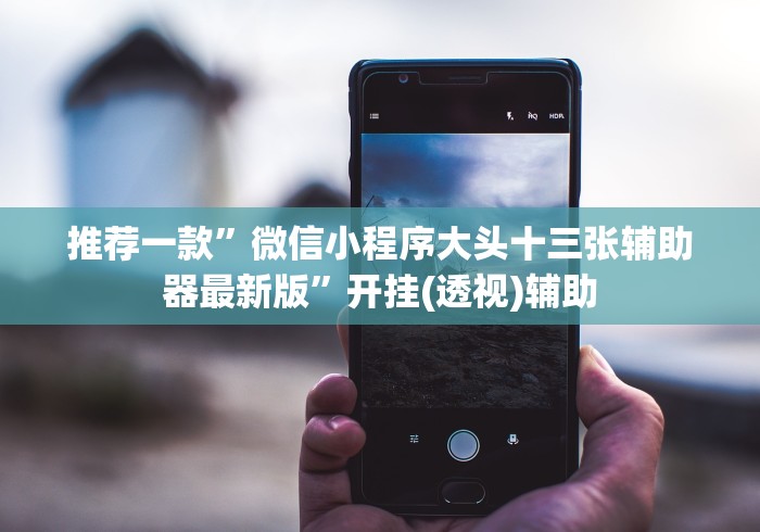 推荐一款”微信小程序大头十三张辅助器最新版”开挂(透视)辅助 推荐一款”微信小程序大头十三张辅助器最新版”开挂(透视)辅助