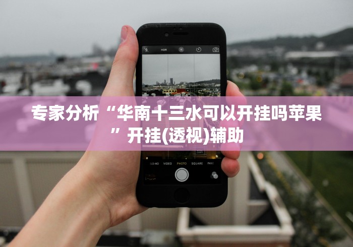 专家分析“华南十三水可以开挂吗苹果”开挂(透视)辅助