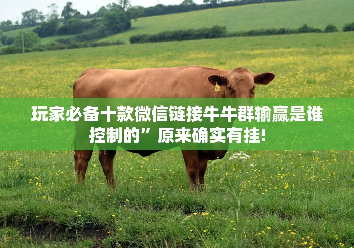 玩家必备十款微信链接牛牛群输赢是谁控制的”原来确实有挂!