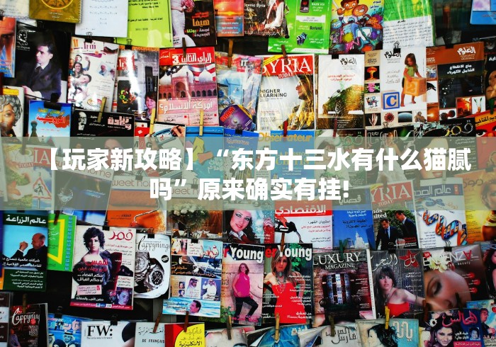 【玩家新攻略】“东方十三水有什么猫腻吗”原来确实有挂!