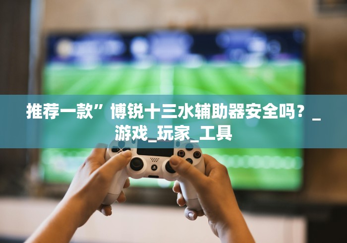 推荐一款”博锐十三水辅助器安全吗？_游戏_玩家_工具