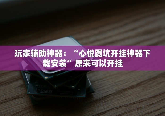 玩家辅助神器:“心悦踢坑开挂神器下载安装”原来可以开挂 玩家辅助神器:“心悦踢坑开挂神器下载安装”原来可以开挂