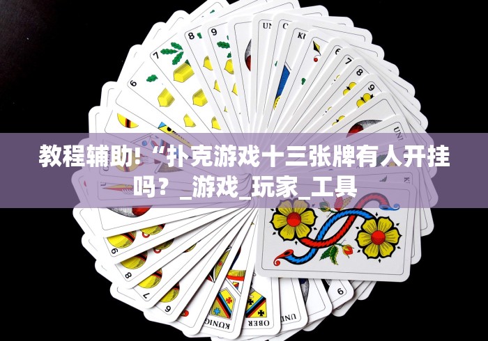 教程辅助!“扑克游戏十三张牌有人开挂吗？_游戏_玩家_工具