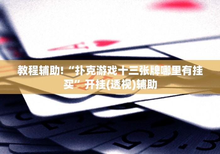 教程辅助!“扑克游戏十三张牌哪里有挂买”开挂(透视)辅助