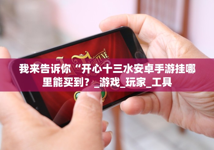 我来告诉你“开心十三水安卓手游挂哪里能买到？_游戏_玩家_工具