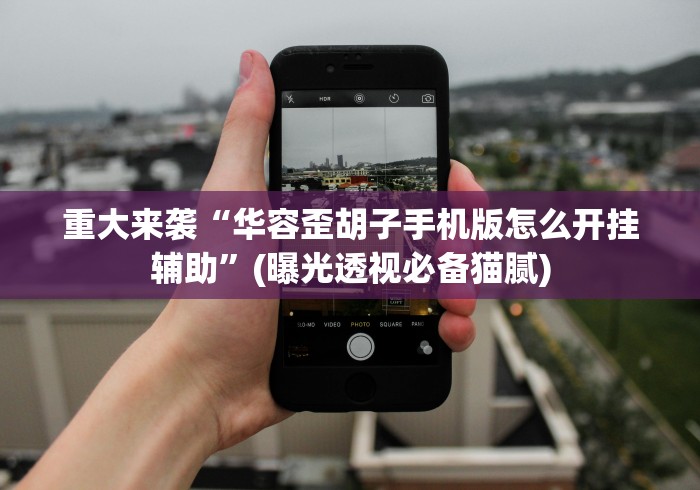 重大来袭“华容歪胡子手机版怎么开挂辅助”(曝光透视必备猫腻)