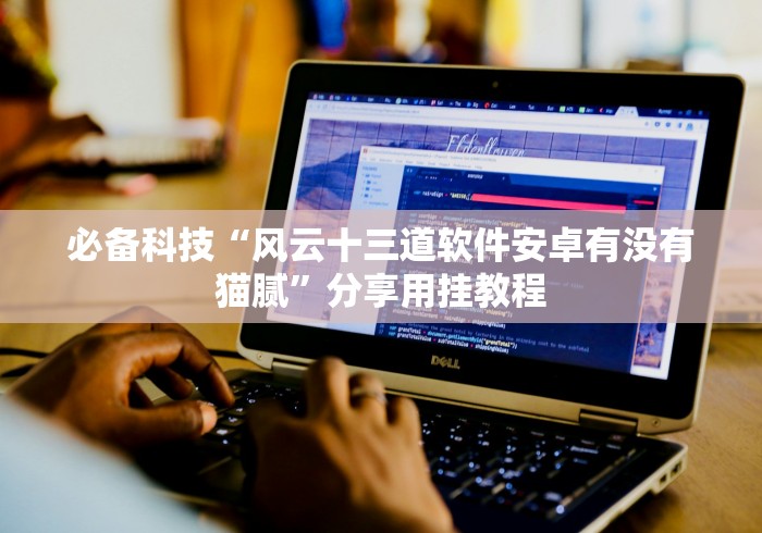 必备科技“风云十三道软件安卓有没有猫腻”分享用挂教程