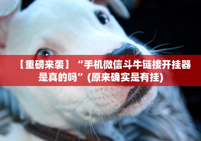 【重磅来袭】“手机微信斗牛链接开挂器是真的吗”(原来确实是有挂)