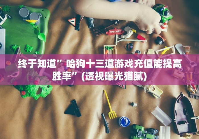 终于知道”哈狗十三道游戏充值能提高胜率”(透视曝光猫腻) 终于知道”哈狗十三道游戏充值能提高胜率”(透视曝光猫腻)