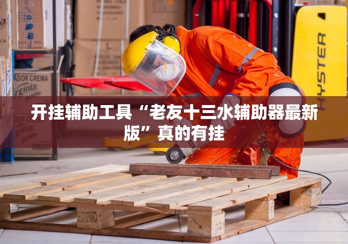 开挂辅助工具“老友十三水辅助器最新版”真的有挂