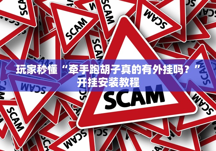 玩家秒懂“牵手跑胡子真的有外挂吗?”开挂安装教程 玩家秒懂“牵手跑胡子真的有外挂吗?”开挂安装教程