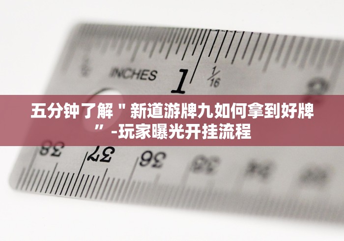 五分钟了解"新道游牌九如何拿到好牌”-玩家曝光开挂流程 五分钟了解"新道游牌九如何拿到好牌”-玩家曝光开挂流程