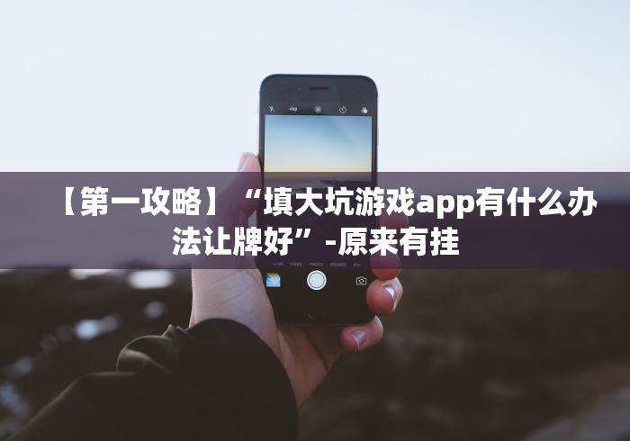【第一攻略】“填大坑游戏app有什么办法让牌好”-原来有挂