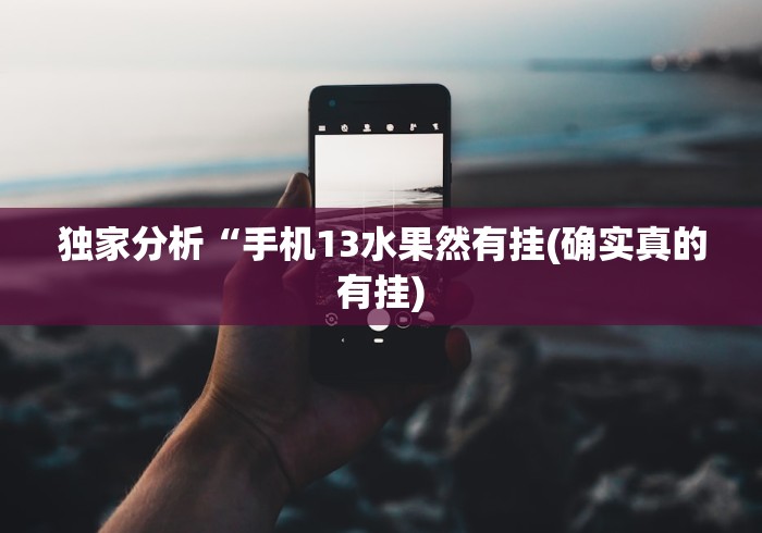 独家分析“手机13水果然有挂(确实真的有挂)