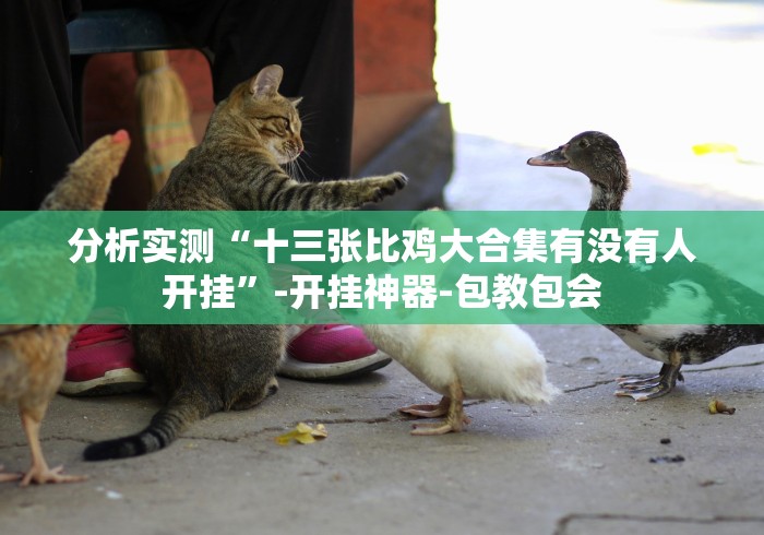 分析实测“十三张比鸡大合集有没有人开挂”-开挂神器-包教包会 分析实测“十三张比鸡大合集有没有人开挂”-开挂神器-包教包会