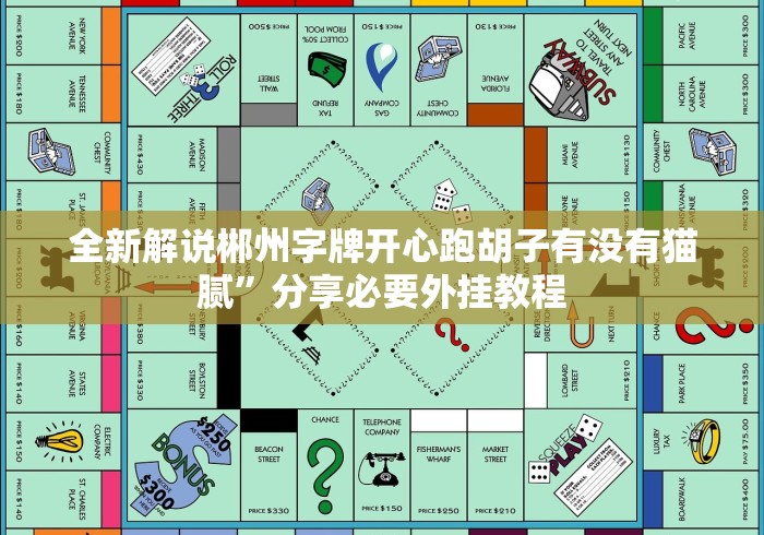 全新解说郴州字牌开心跑胡子有没有猫腻”分享必要外挂教程