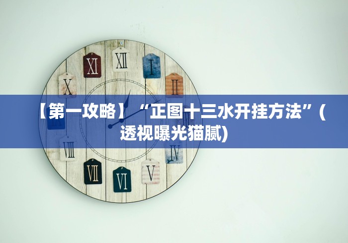 【第一攻略】“正图十三水开挂方法”(透视曝光猫腻)