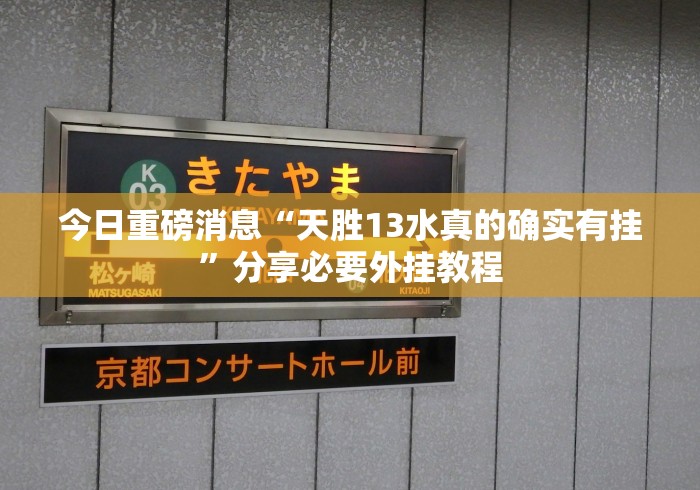 今日重磅消息“天胜13水真的确实有挂”分享必要外挂教程