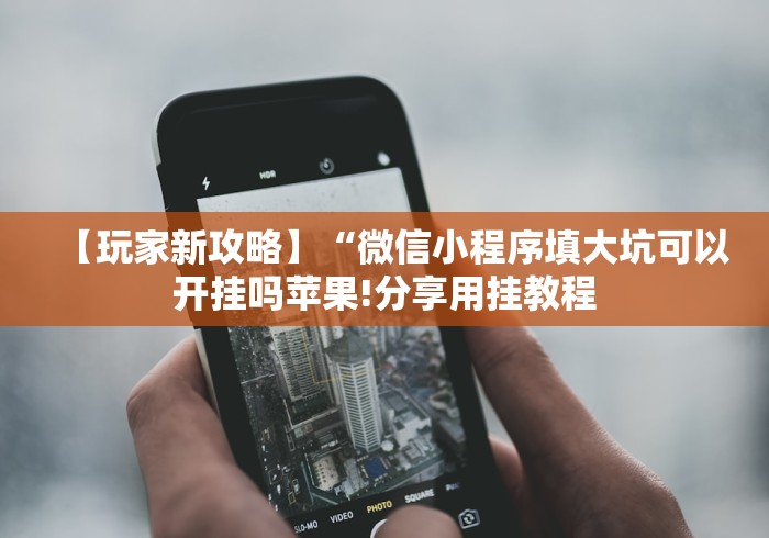 【玩家新攻略】“微信小程序填大坑可以开挂吗苹果!分享用挂教程