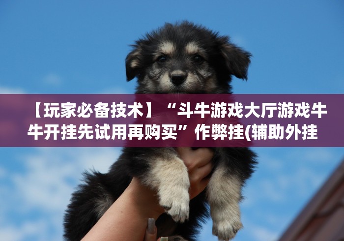 【玩家必备技术】“斗牛游戏大厅游戏牛牛开挂先试用再购买”作弊挂(辅助外挂+教程) 【玩家必备技术】“斗牛游戏大厅游戏牛牛开挂先试用再购买”作弊挂(辅助外挂+教程)