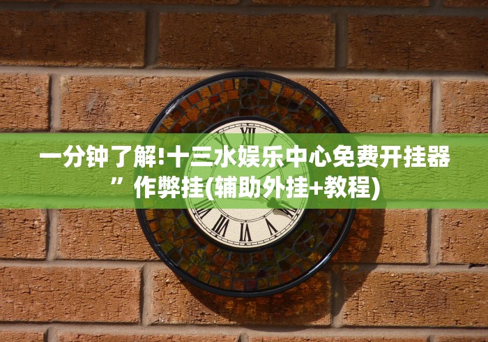 一分钟了解!十三水娱乐中心免费开挂器”作弊挂(辅助外挂+教程)